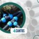 O que são Transições em PEAD para PVC. Foto: Canva / Jornal 4 Cantos